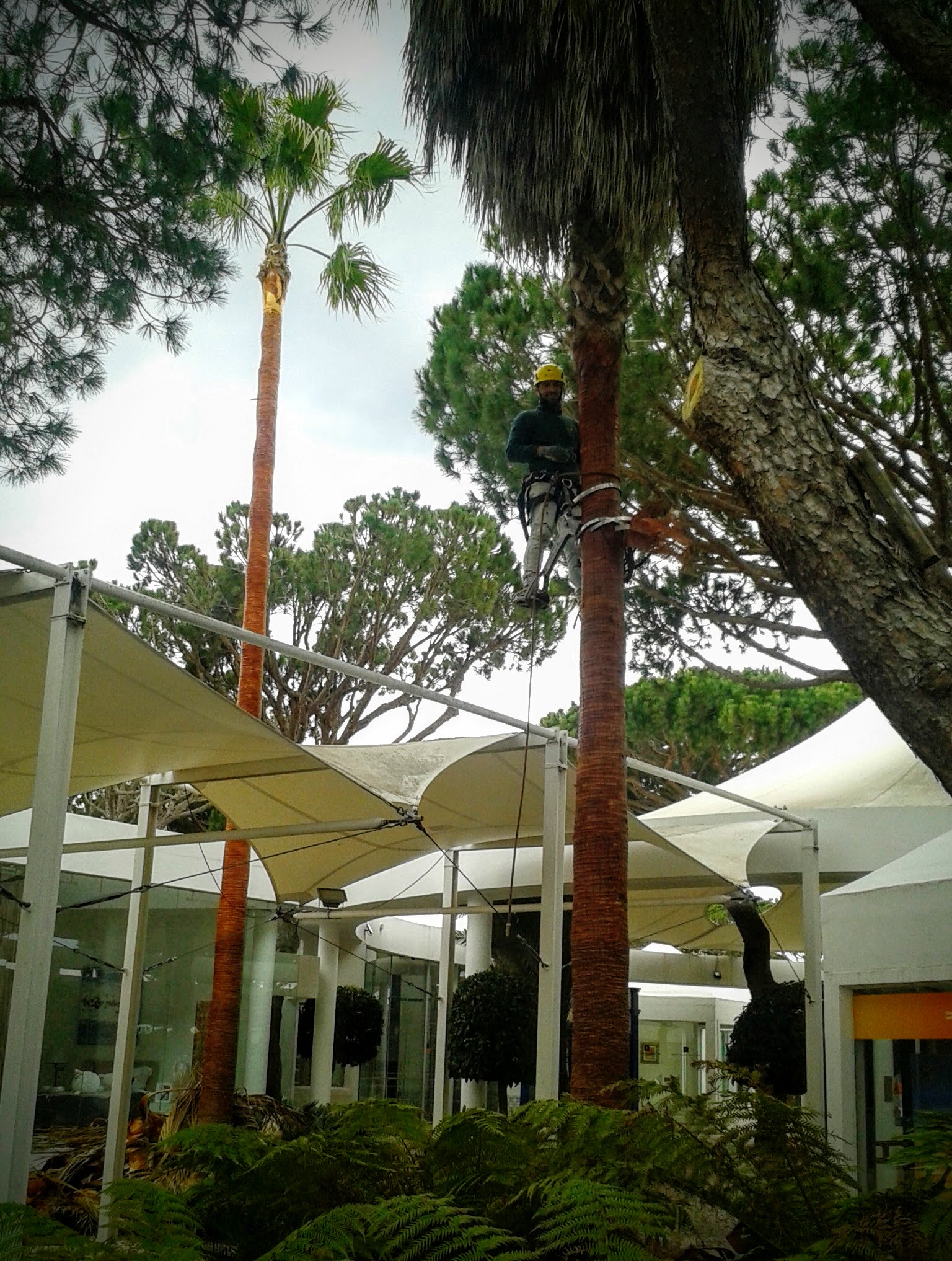 Pest control project 7